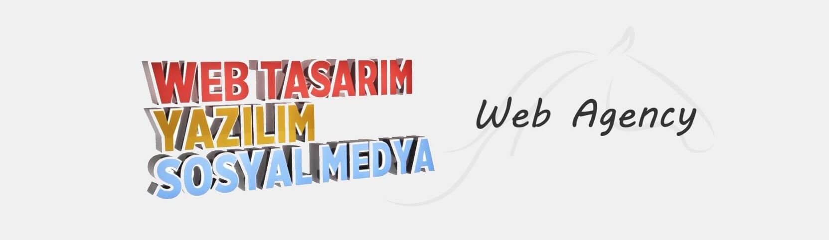 Web Tasarım Fiyatları